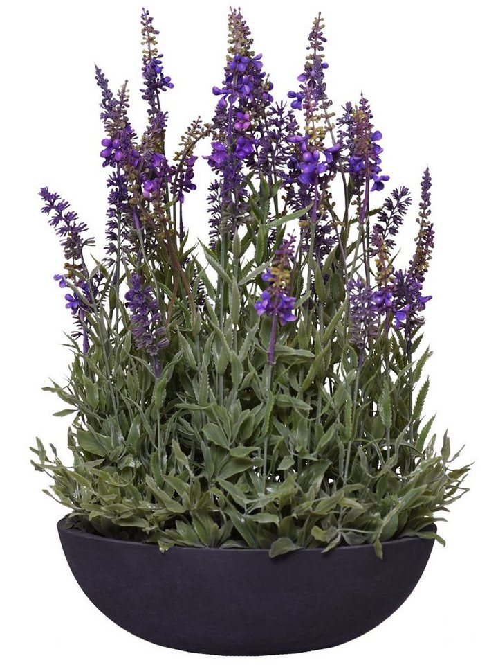 Kunstpflanze Lavendel in Pflanzschale künstlich Kunstpflanze LAVANDULA,  VIVANNO, Höhe 48 cm