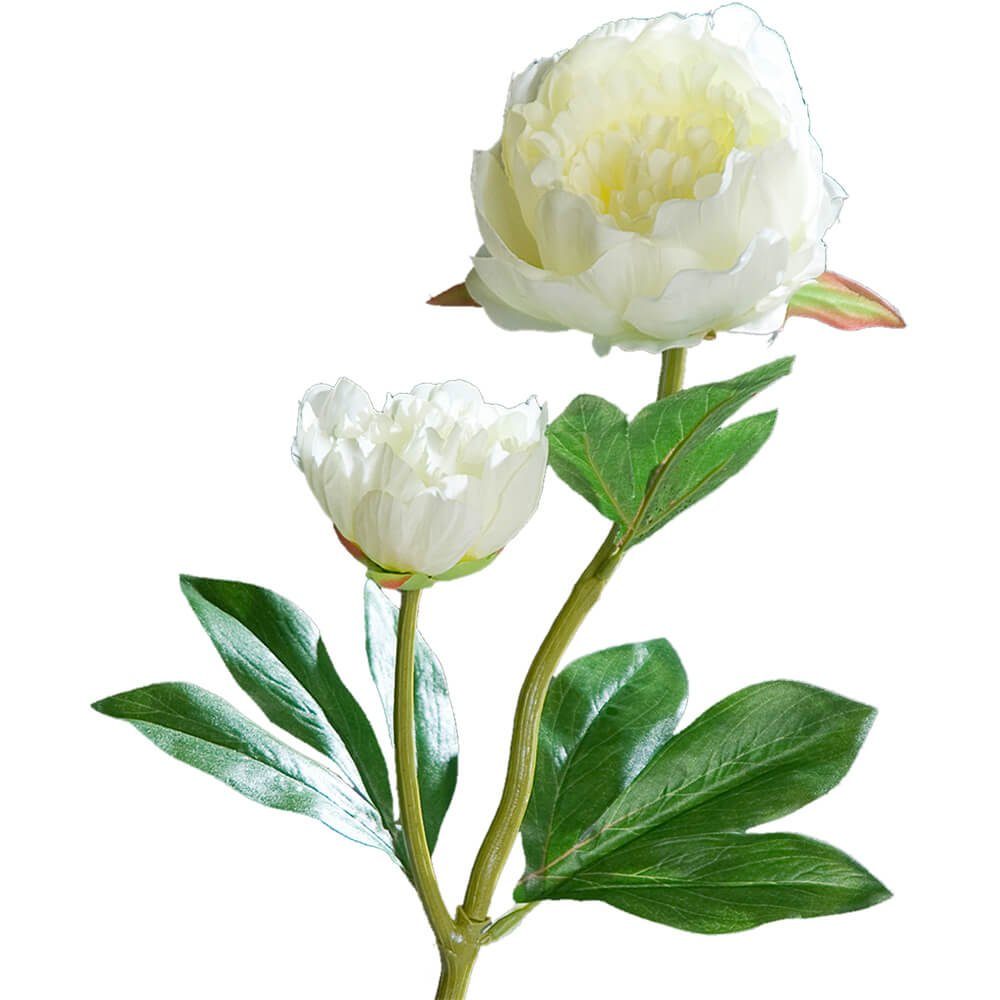 Kunstblume Pfingstrosen mit 2 Blüten Päonien 1 Stk 60 cm cremeweiß