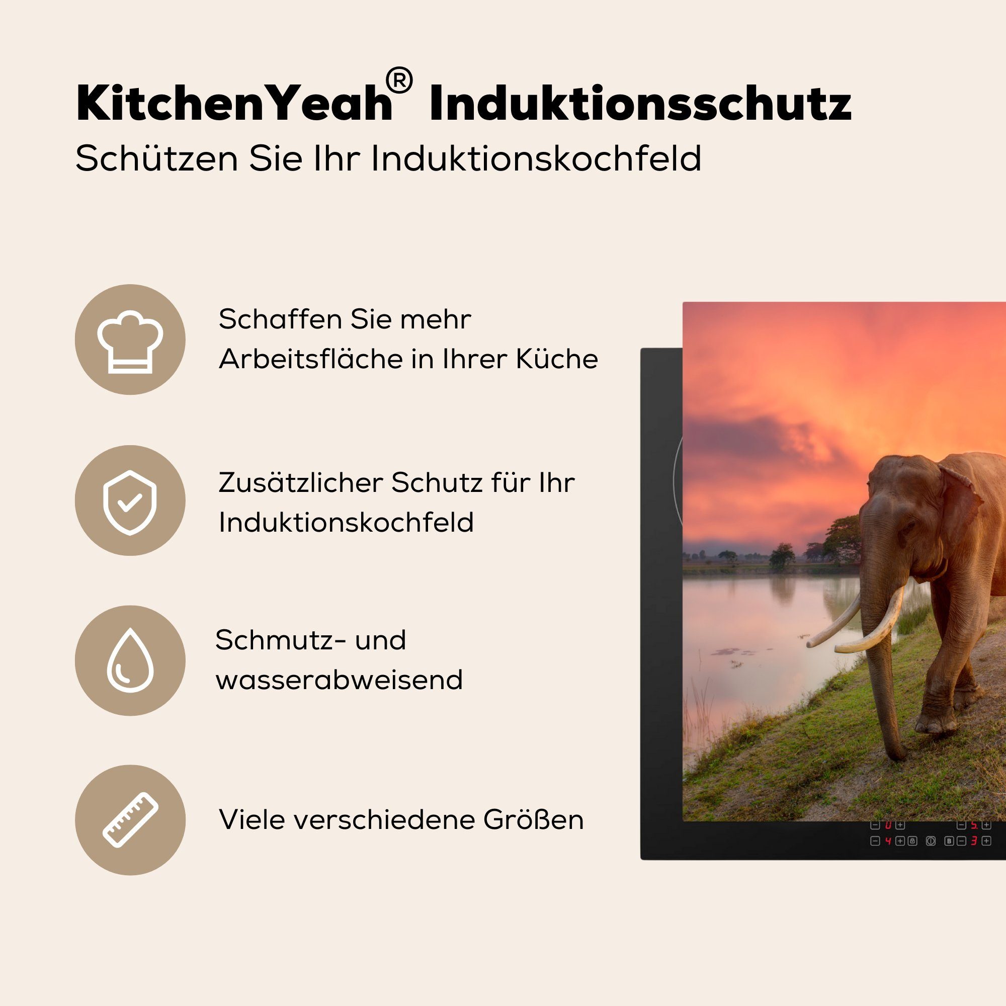 für küche, - - 59x52 cm, die - Sonnenuntergang - MuchoWow Elefant Tiere Natur, Herdblende-/Abdeckplatte Induktionsmatte (1 Wasser Vinyl, tlg), Ceranfeldabdeckung