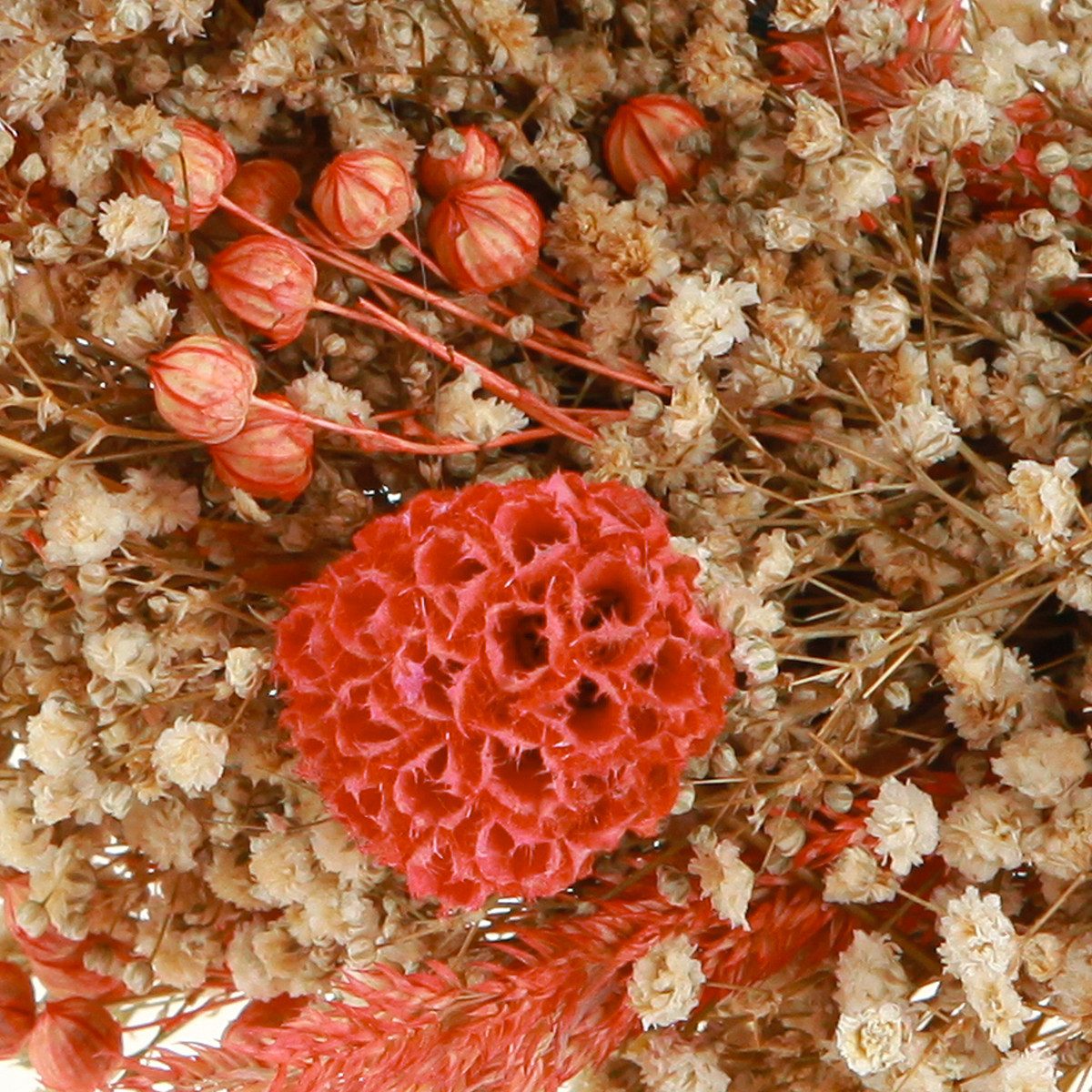 Trockenblume Deko Kranz Trockenblumen Orange Creme günstig online kaufen