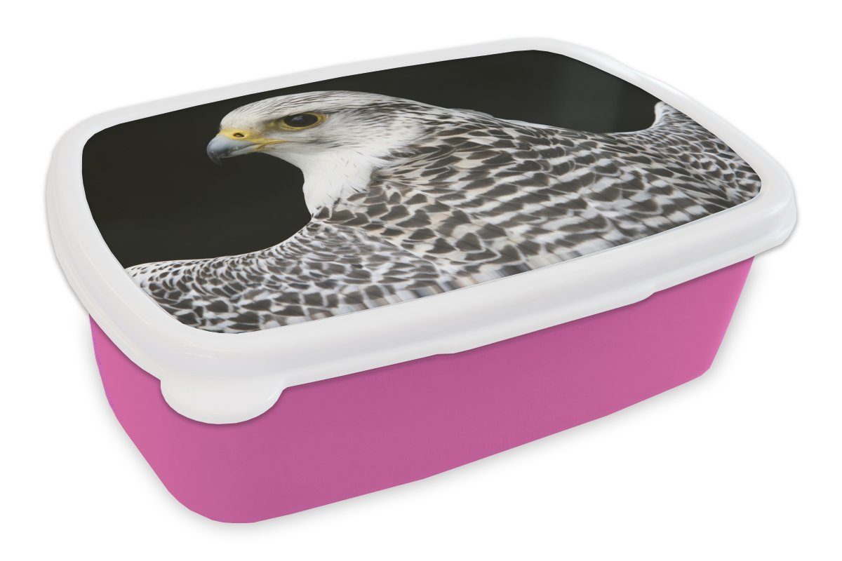 MuchoWow Lunchbox Falke - Raubvogel - Jagd, Kunststoff, (2-tlg), Brotbox für Erwachsene, Brotdose Kinder, Snackbox, Mädchen, Kunststoff rosa
