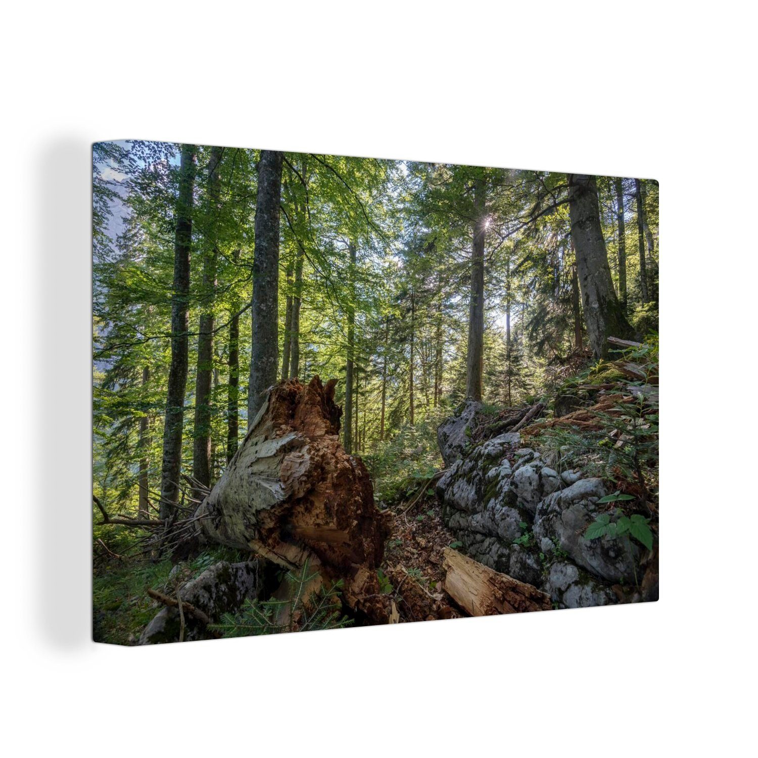 OneMillionCanvasses® Leinwandbild Uralte Wälder im Nationalpark Kalkalpen in Österreich, (1 St), Wandbild Leinwandbilder, Aufhängefertig, Wanddeko, 30x20 cm