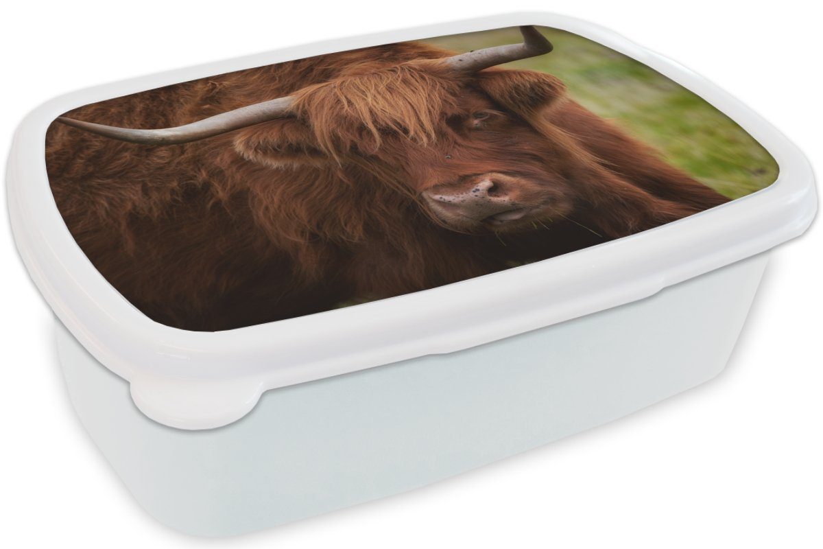 MuchoWow Lunchbox Schottischer für Brotdose, Highlander - (2-tlg), Jungs Mädchen und für Erwachsene, - Orange weiß und Kinder Kunststoff, Brotbox Tiere