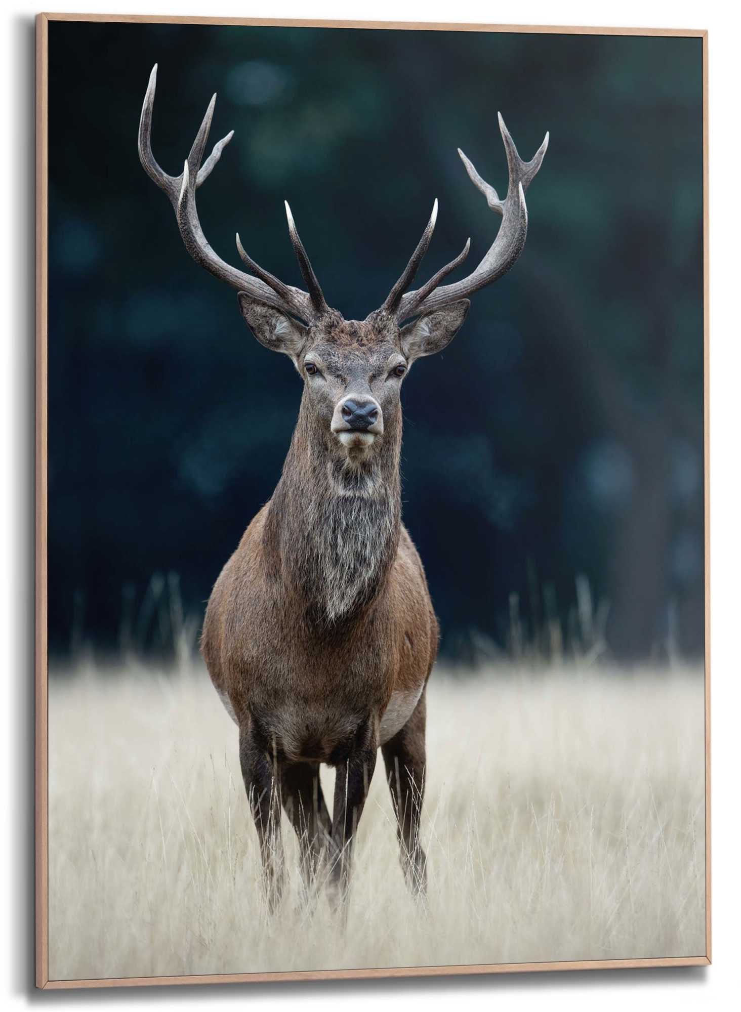 Deer Wood Frame 50x70 Reinders! Slim Wandbild