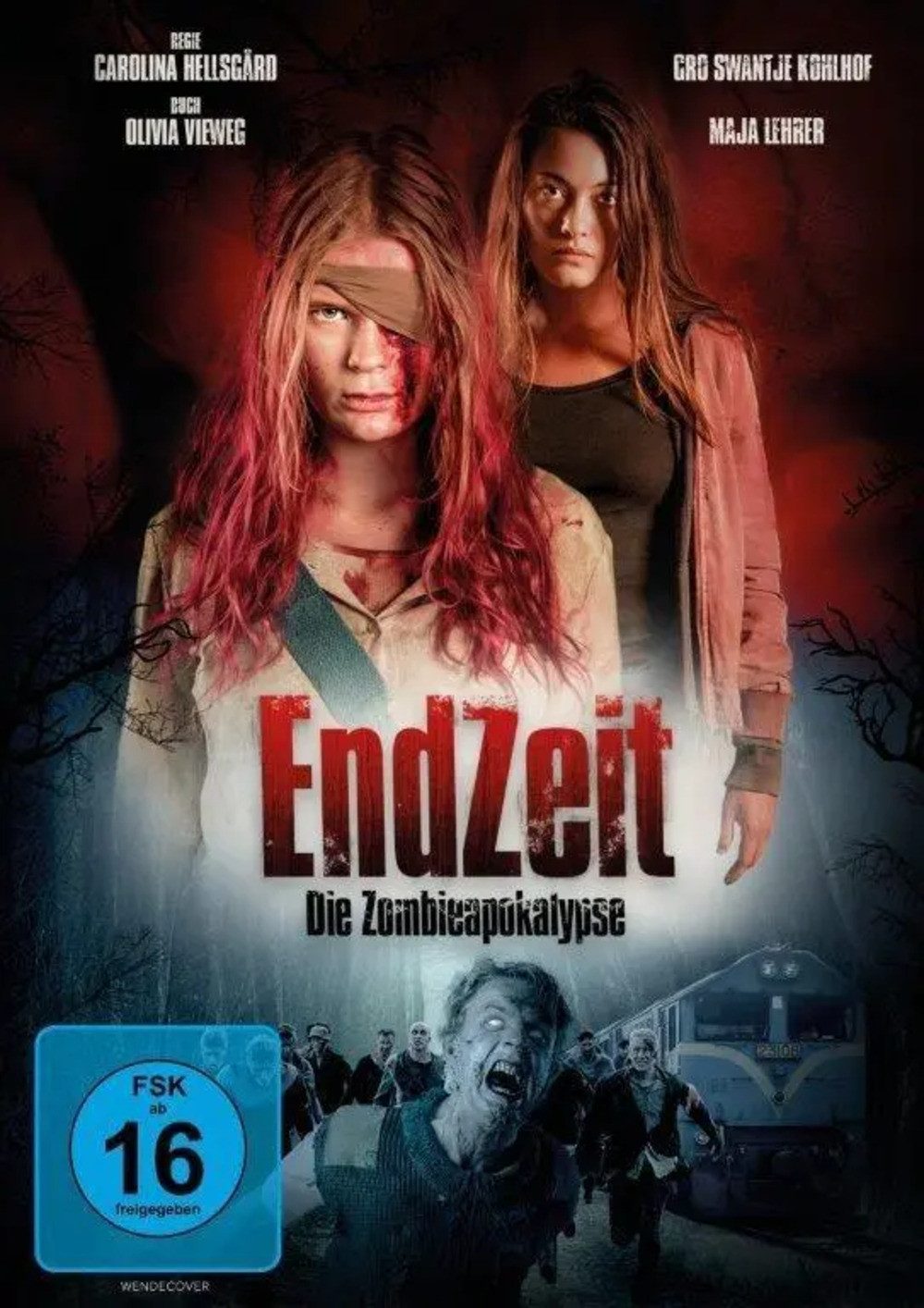 DVD Endzeit