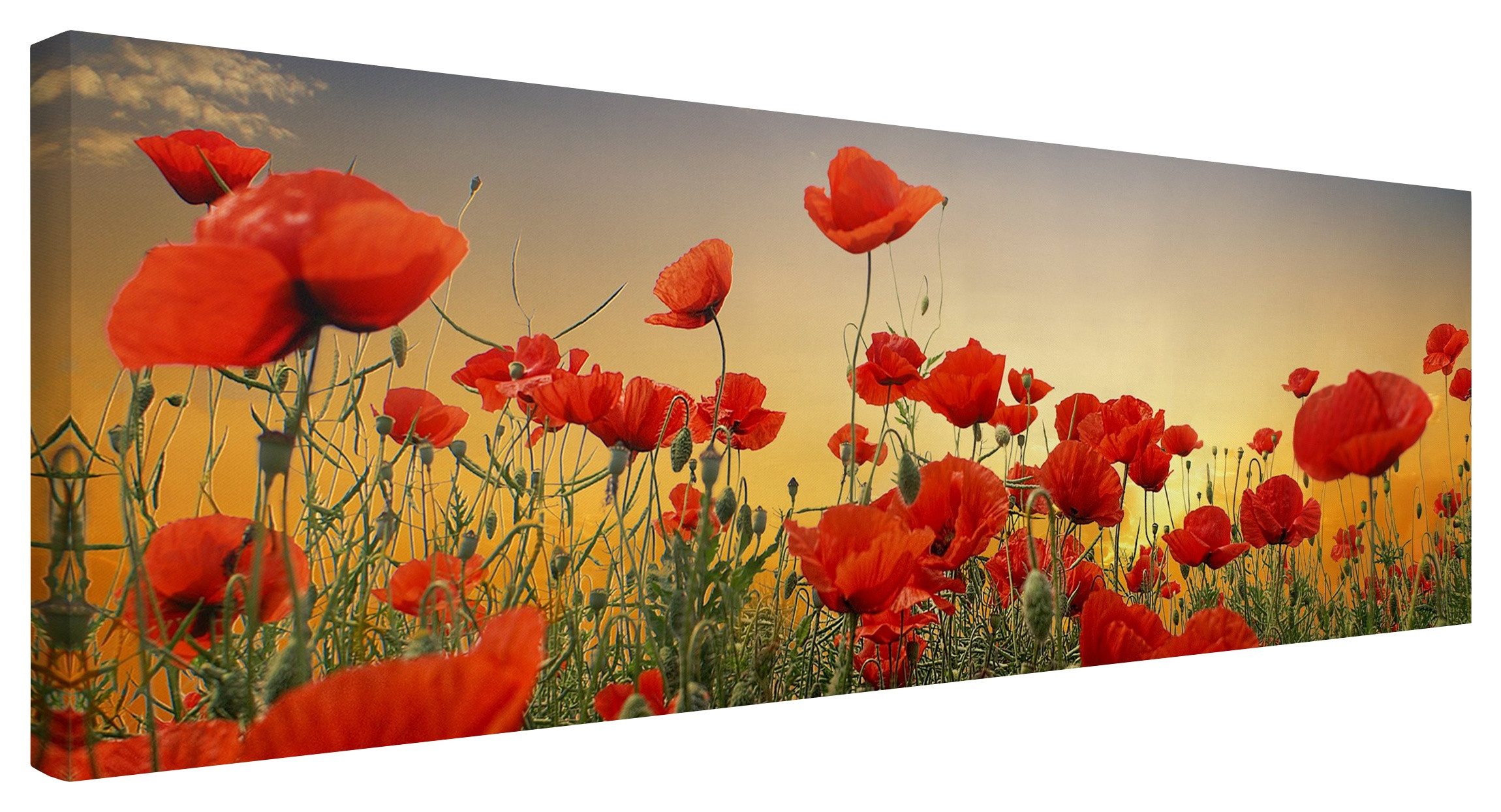Bilderdepot24 Leinwandbild Blumen Modern Mohnblumenfeld Sonnenuntergang günstig online kaufen