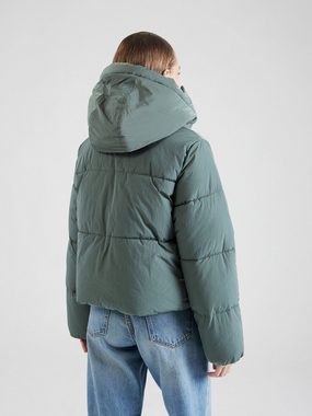 Pegador Steppjacke VANATI (1-St)