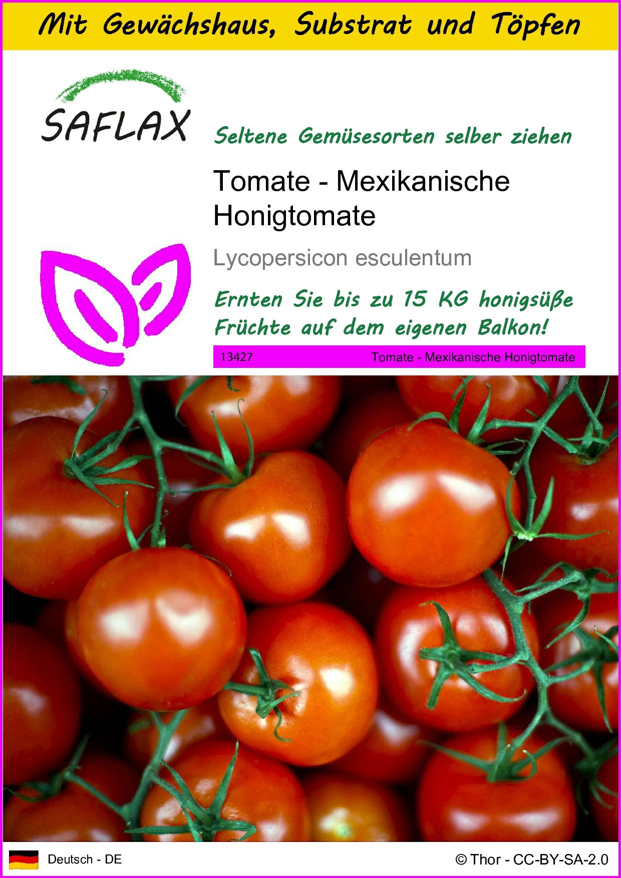 SAFLAX Gemüsesamen SAFLAX - Anzuchtset - Tomate - Mexikanische Honigtomate