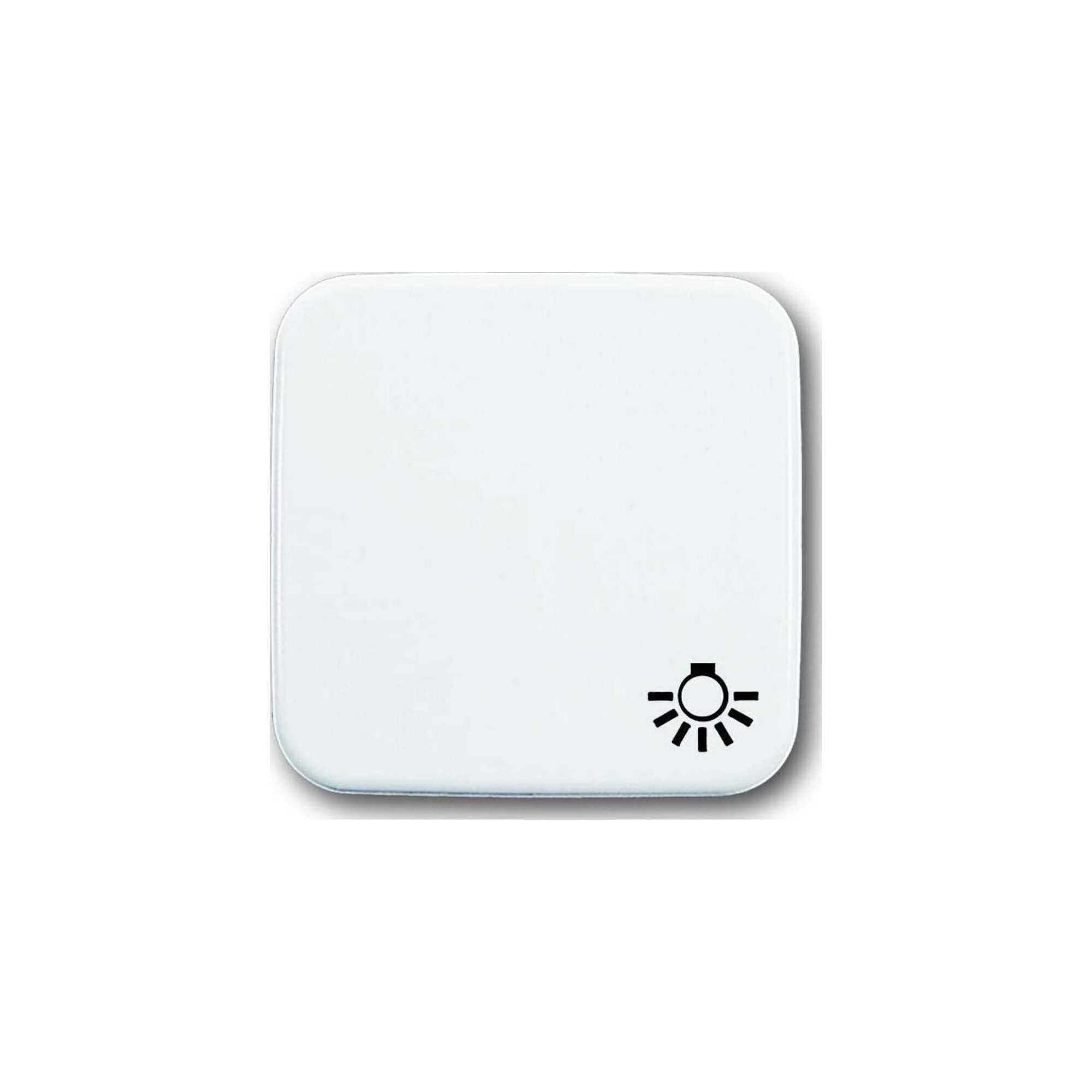Busch-Jaeger Busch-Jaeger Wippe aws mit Symbol Licht 2520 LI-214 Installationskabel