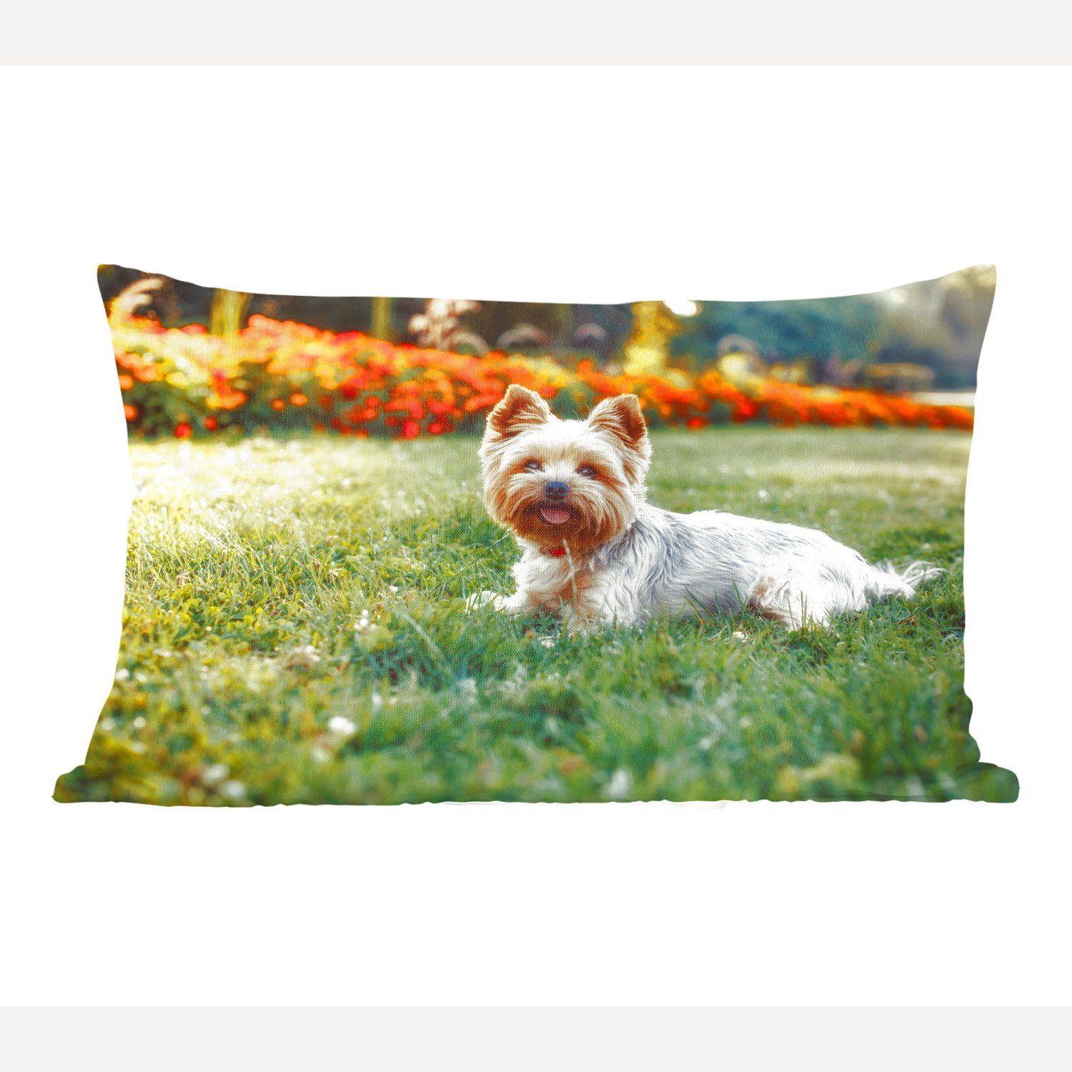 MuchoWow Dekokissen Liebenswerter Yorkshire Terrier im grünen Gras liegend, Wohzimmer Dekoration, Zierkissen, Dekokissen mit Füllung, Schlafzimmer