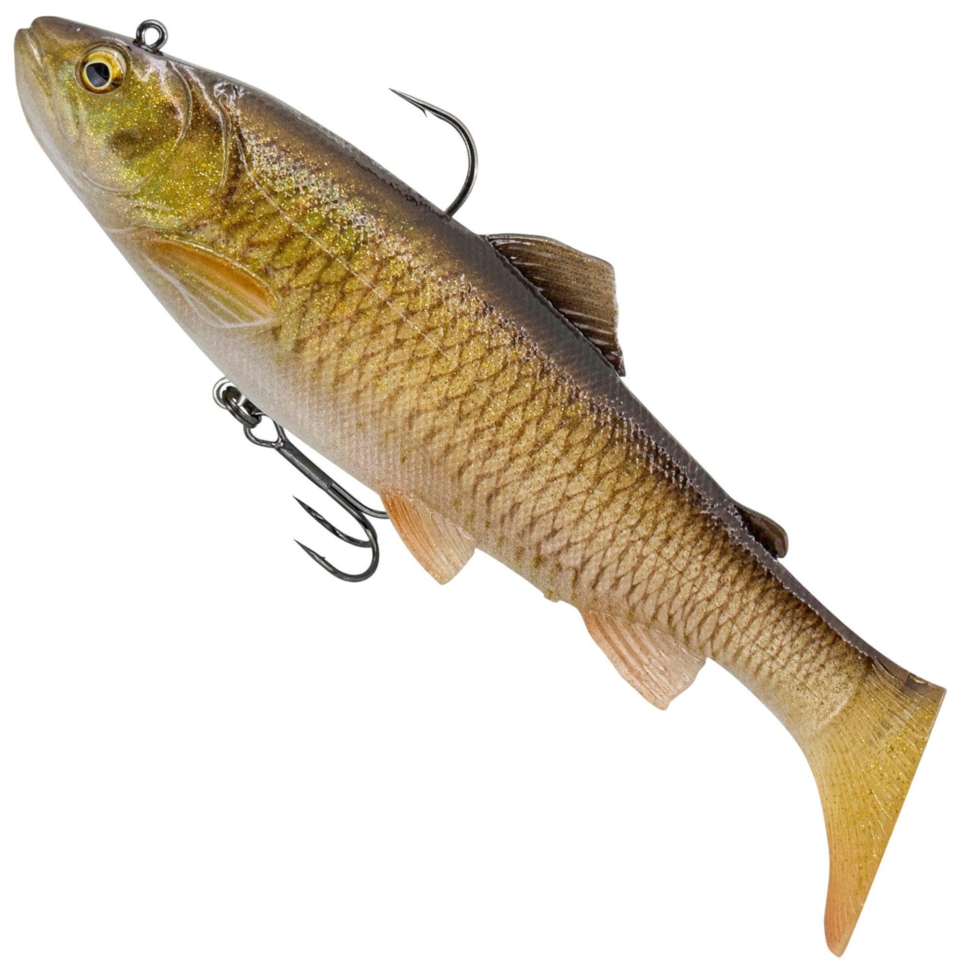 Clear Chub