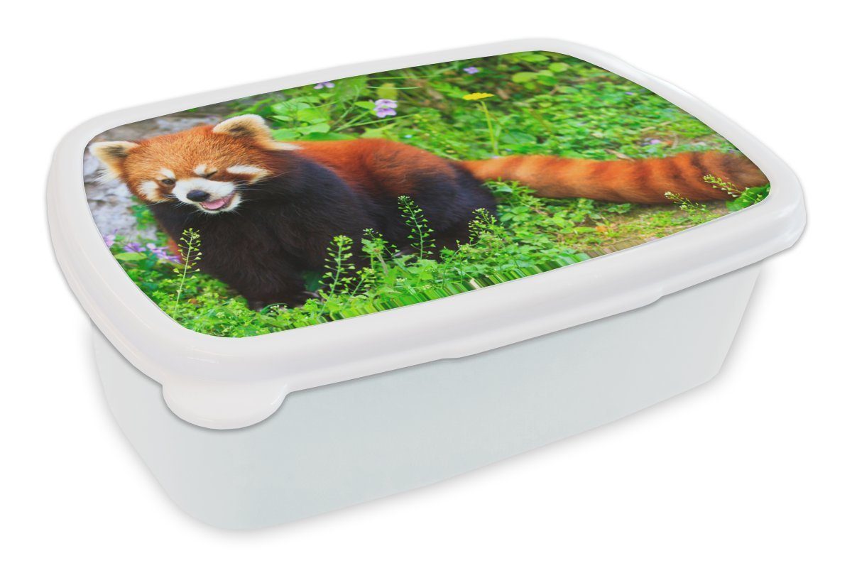 MuchoWow Lunchbox Roter Panda - Grün - Gras, Kunststoff, (2-tlg), Brotbox für Kinder und Erwachsene, Brotdose, für Jungs und Mädchen weiß