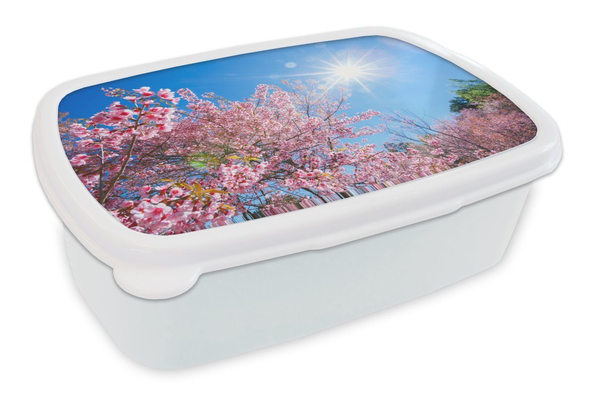 MuchoWow Lunchbox Sakura - Blumen - Rosa, Kunststoff, (2-tlg), Brotbox für Kinder und Erwachsene, Brotdose, für Jungs und Mädchen weiß