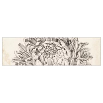 Bilderdepot24 Küchenrückwand beige dekor Blumen Vintage Botanische Studie Chrysantheme II, (1-tlg., Nischenrückwand - für Fliesenspiegel ohne Bohren - matt), Spritzschutz Rückwand Küche Herd - Folie selbstklebend versch. Größen