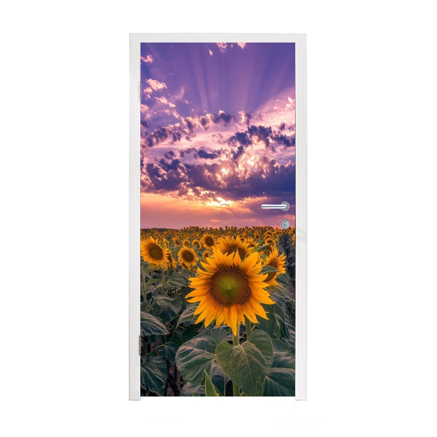 MuchoWow Türtapete Blumen - Himmel - Lila - Sonnenuntergang, Matt, bedruckt, (1 St), Fototapete für Tür, Türaufkleber, 75x205 cm