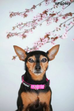 amiplay Hunde-Halsband Reflective, Polypropylen-Gurtband mit reflektierendem Faden, Hunde Schlupfhalsband REFLECTIVE