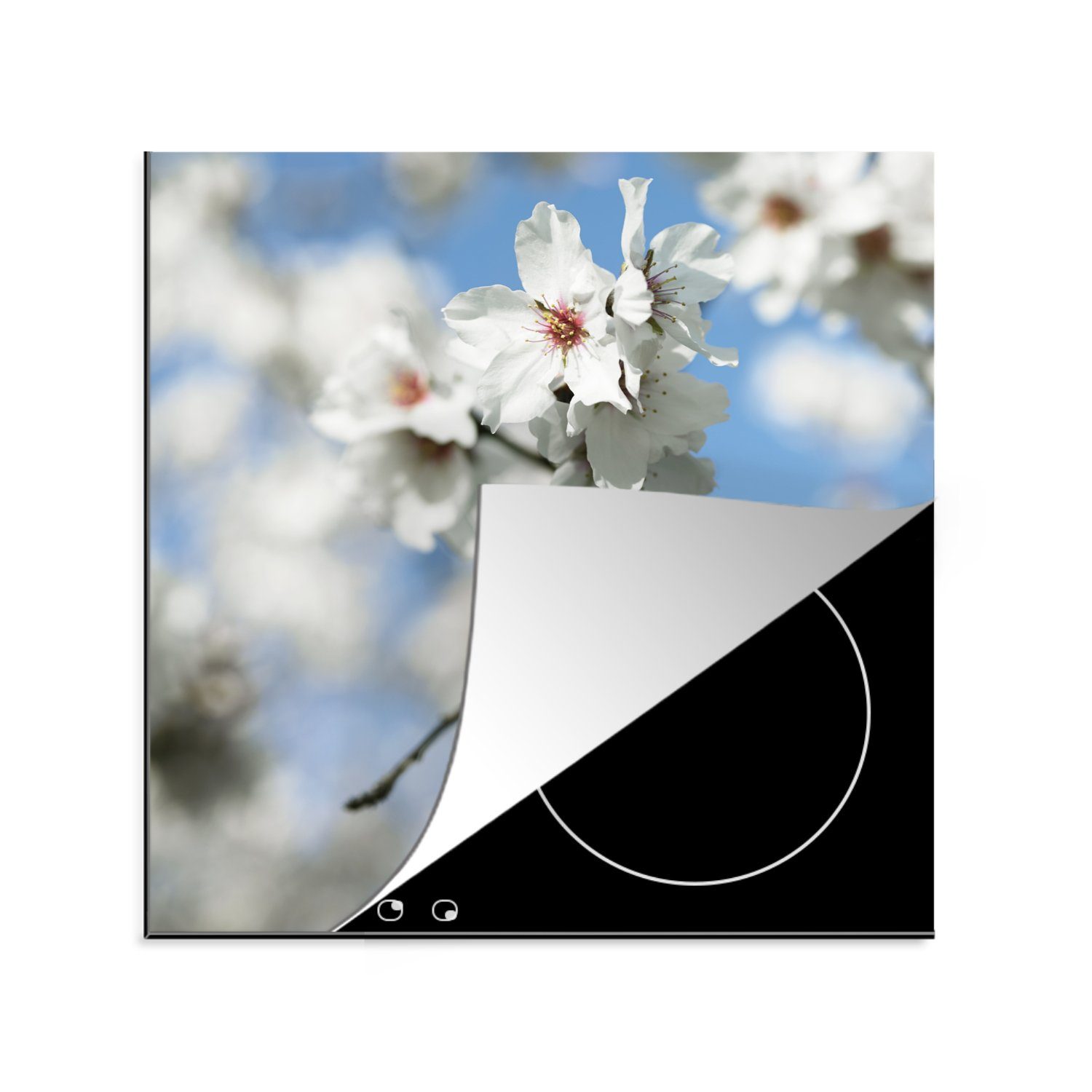tlg), Blüte Ceranfeldabdeckung, küche Mandelbaums, Herdblende-/Abdeckplatte Vinyl, des MuchoWow für Arbeitsplatte 78x78 (1 cm,