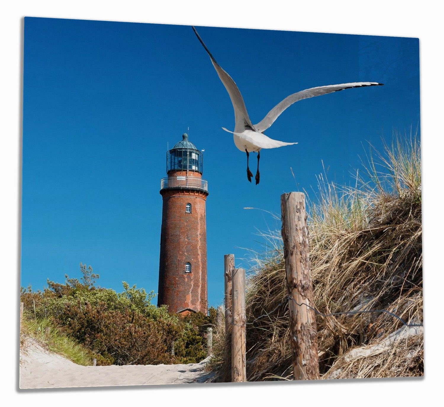 Wallario Herd-Abdeckplatte Möwe am Strand mit Leuchtturm, ESG-Sicherheitsglas, (Glasplatte, 1 tlg., inkl. 5mm Noppen), verschiedene Größen