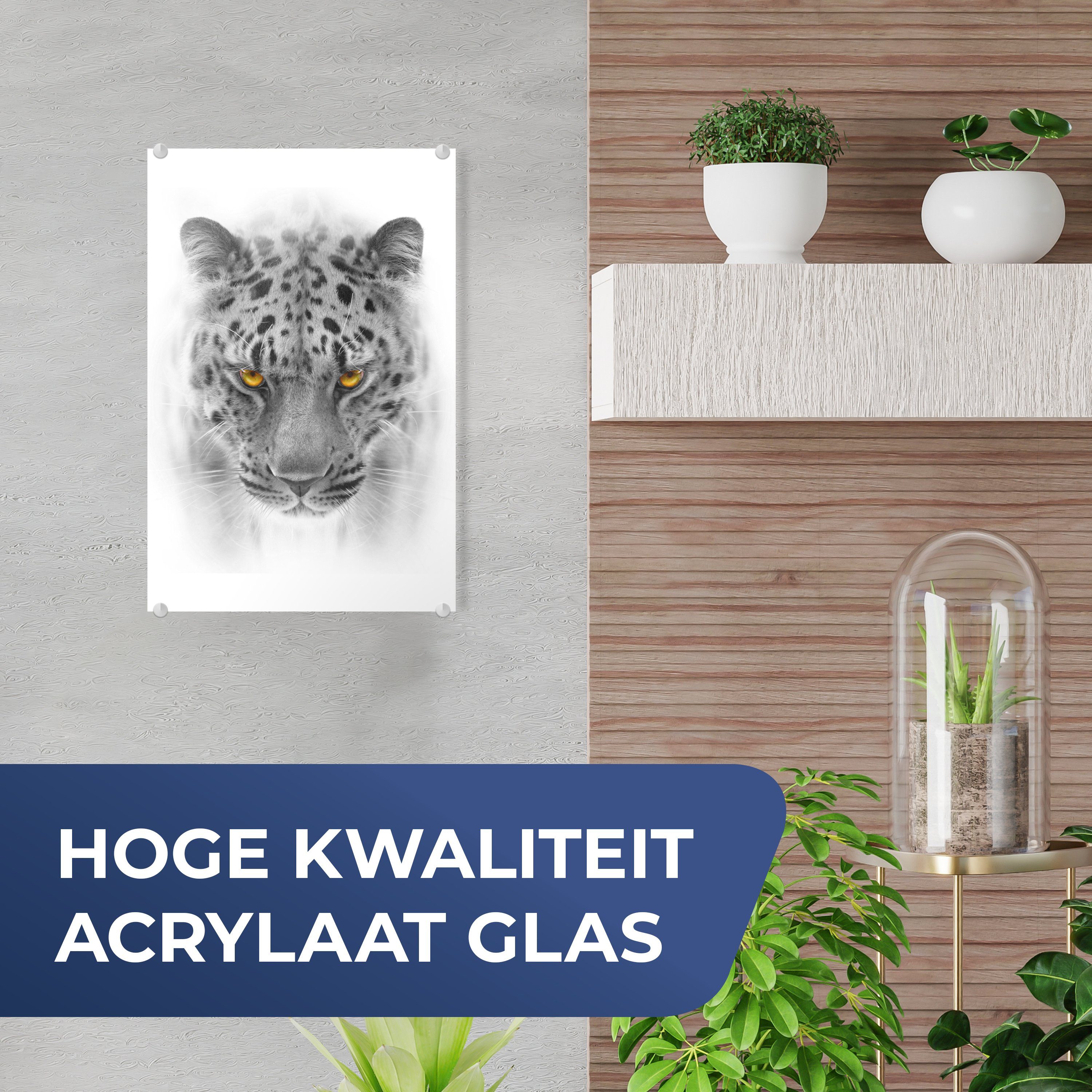 - - Foto Weiß Glasbilder MuchoWow Wandbild Leopard Bilder Wanddekoration Acrylglasbild Tier, - - auf St), (1 - Glas Schwarz Glas - auf