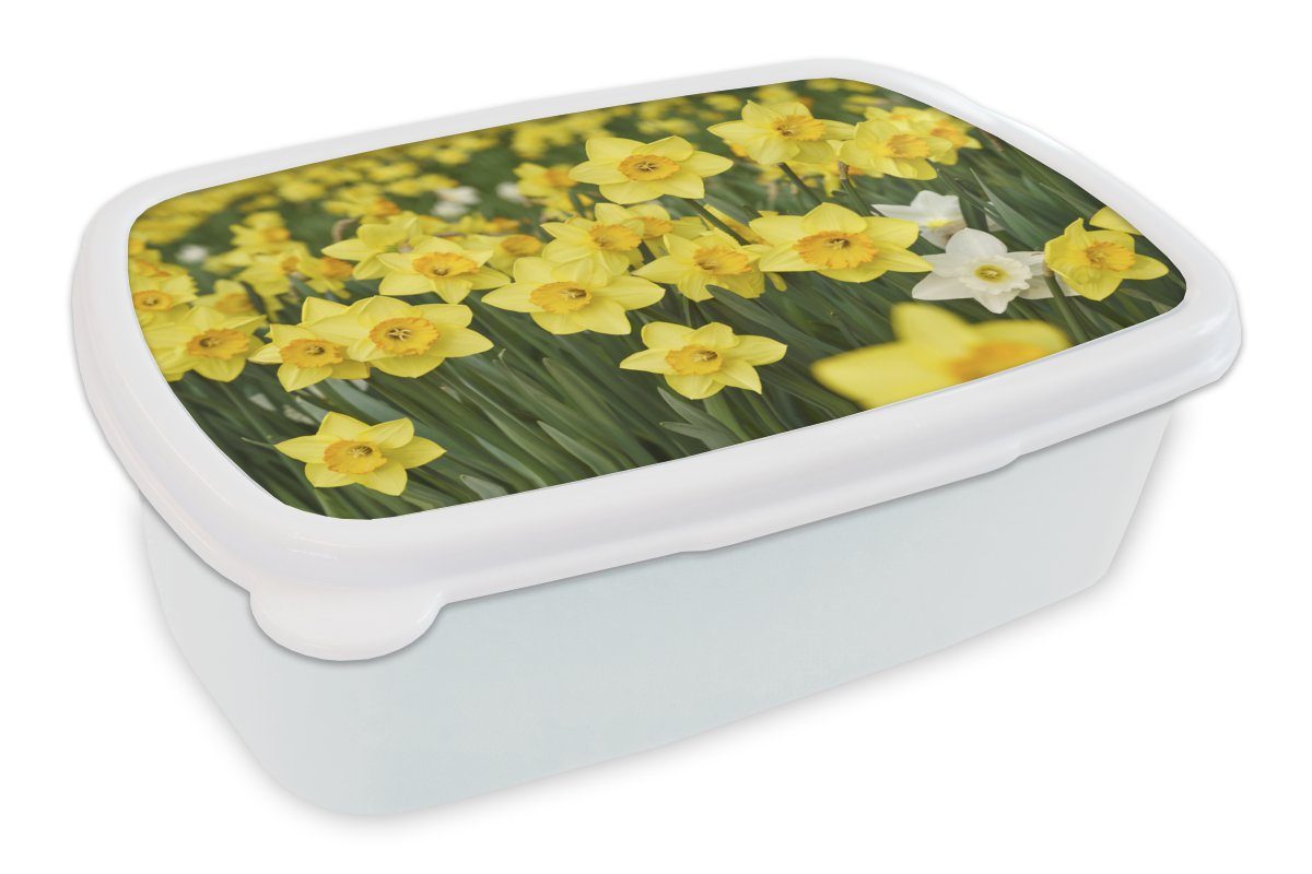 Brotbox Kinder für Erwachsene, und - Gelb weiß - Blumen MuchoWow für und Kunststoff, (2-tlg), Brotdose, Lunchbox Narzissen, Jungs Mädchen