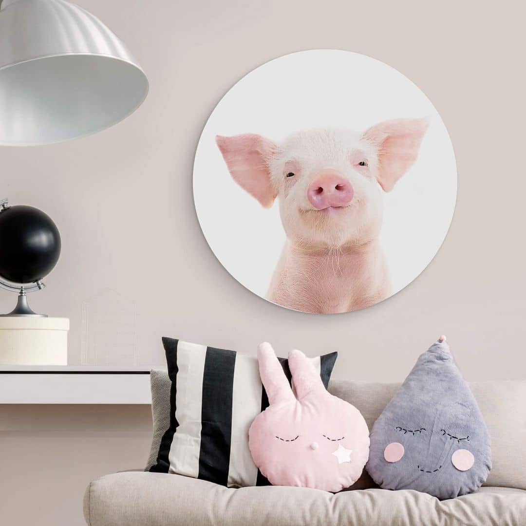 K&L Wall Art Alu-Dibond-Druck Metallposter Kinderzimmer Ferkel Baby Schwein Bauernhof Tiere, Metalloptik Wandbild Ø 30cm
