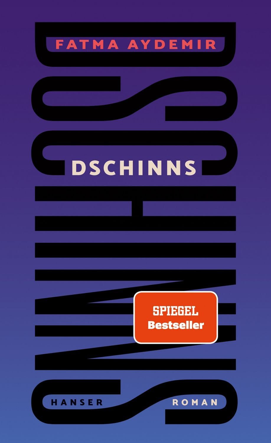 Dschinns / Fatma Aydemir