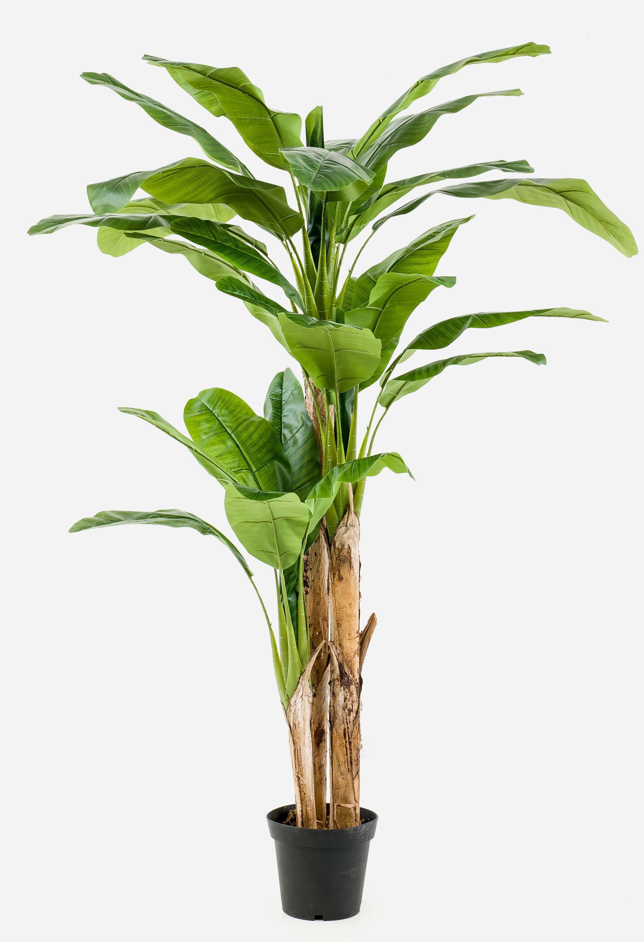 Kunstpalme Kunst Bananenbaum Bagheera, groß, 210cm - Kunst Bananenbaum Banane, artplants, Höhe 210.0 cm