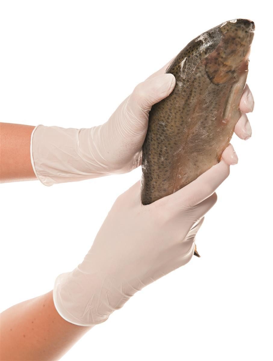 HYGONORM Baumwollhandschuhe 10xHygonorm 250er Nitrilhandschuhe Allfood Safe weiß Gr. 8/M puderfrei