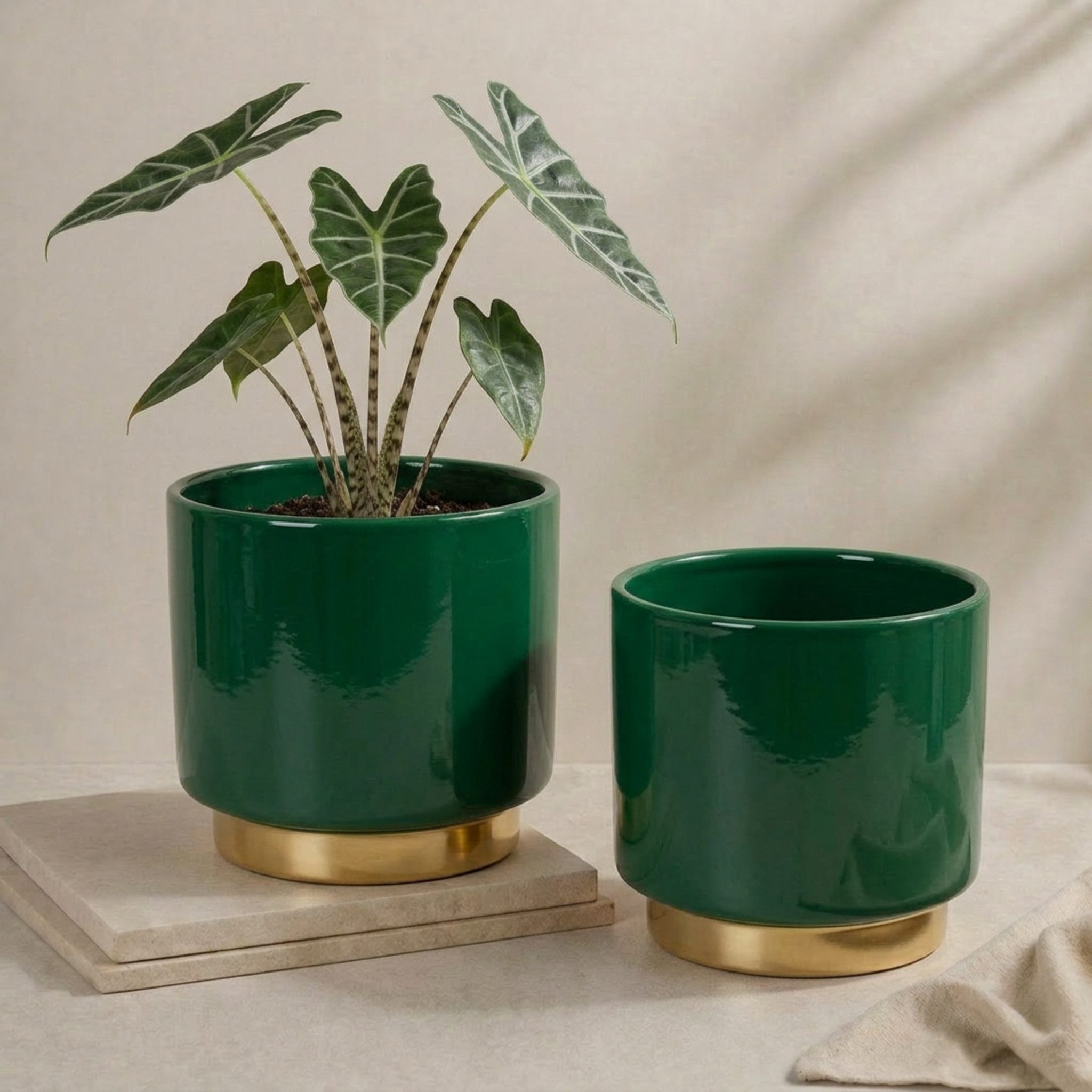 matches21 HOME & HOBBY Blumentopf Übertöpfe in Ø 13 cm, Dunkelgrüne Blumentöpfe im 2er Set (2 St), Blumenübertöpfe aus Keramik für Zimmerpflanzen