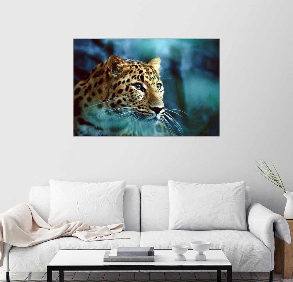 Posterlounge Wandbild, Seltener Amurleopard kaufen | OTTO