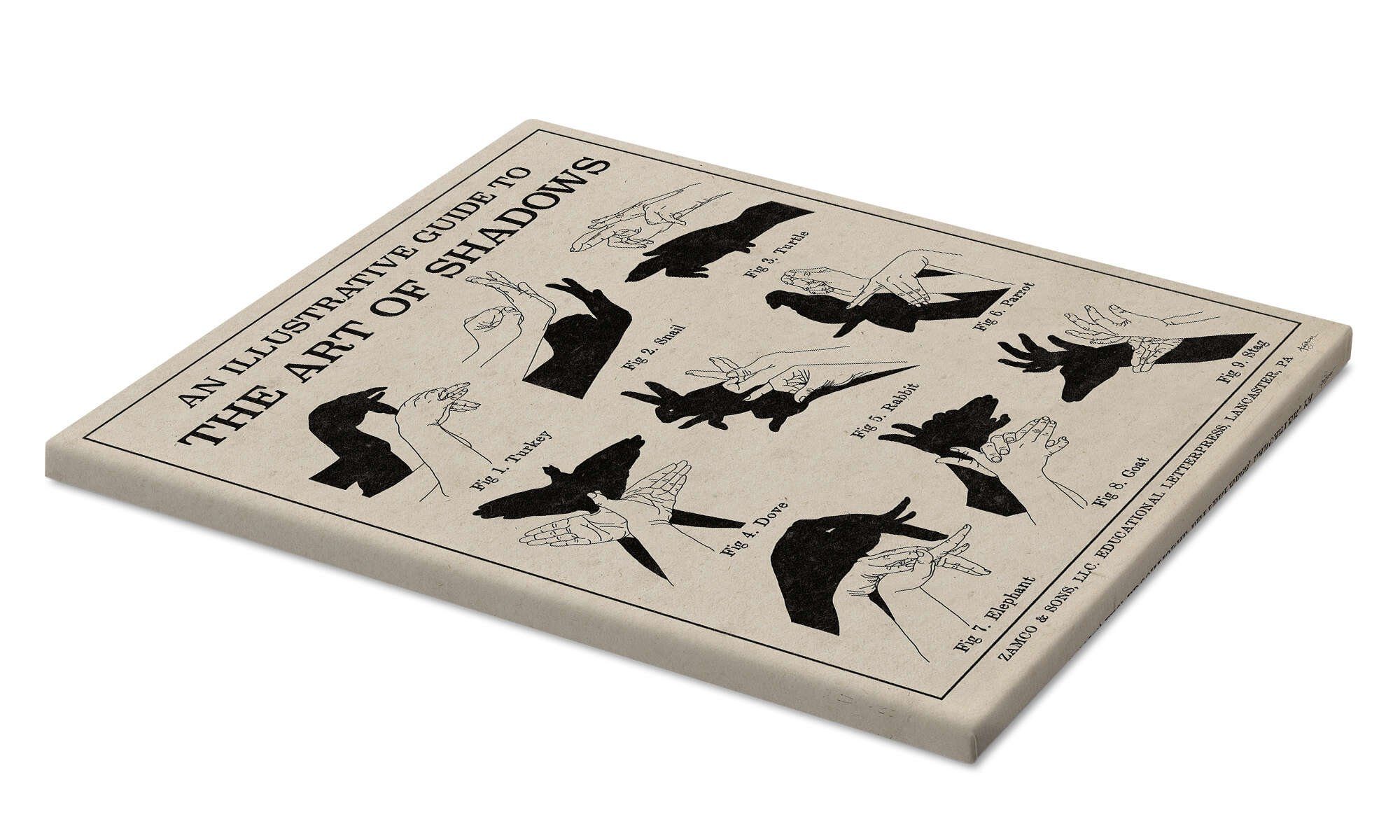 Posterlounge Wandbild Die Kunst der Schattenspiele günstig online kaufen