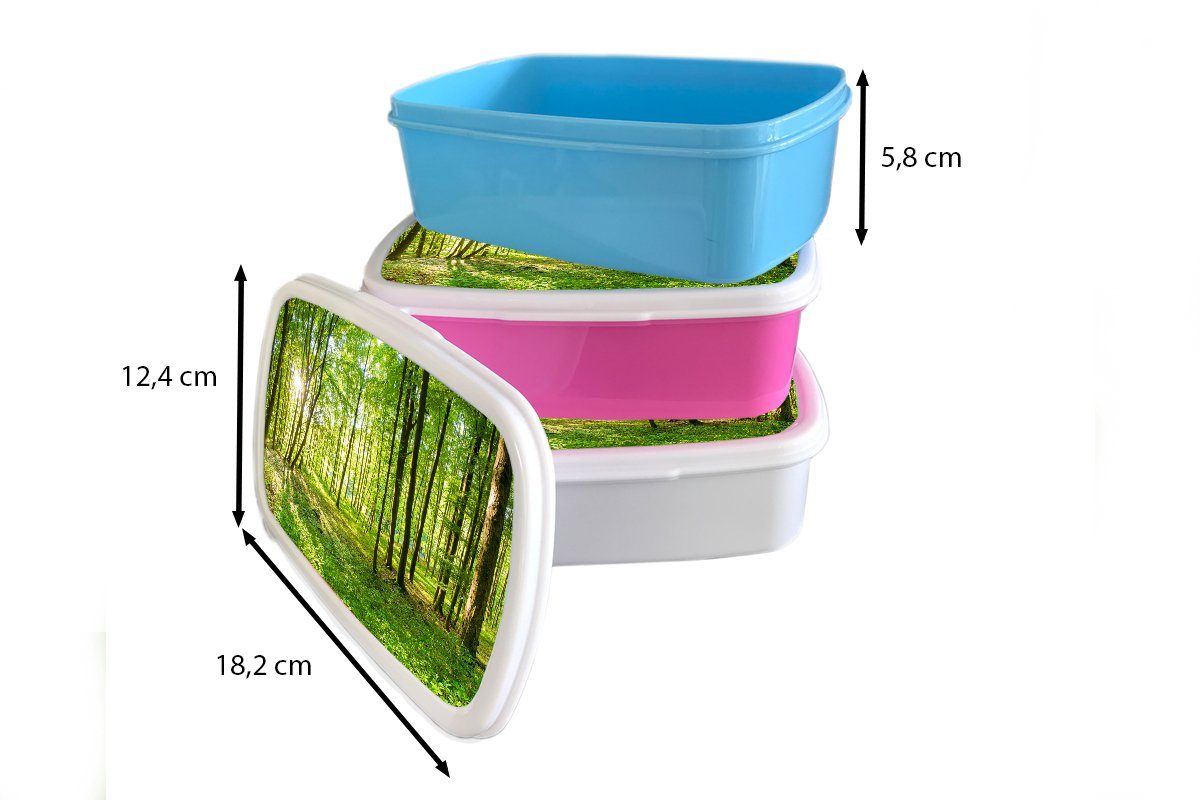 MuchoWow Lunchbox Natur - für (2-tlg), Kunststoff, und Mädchen - Kinder Erwachsene, Jungs weiß Brotdose, - Grün Brotbox Sonnenlicht, - Bäume Wald für und