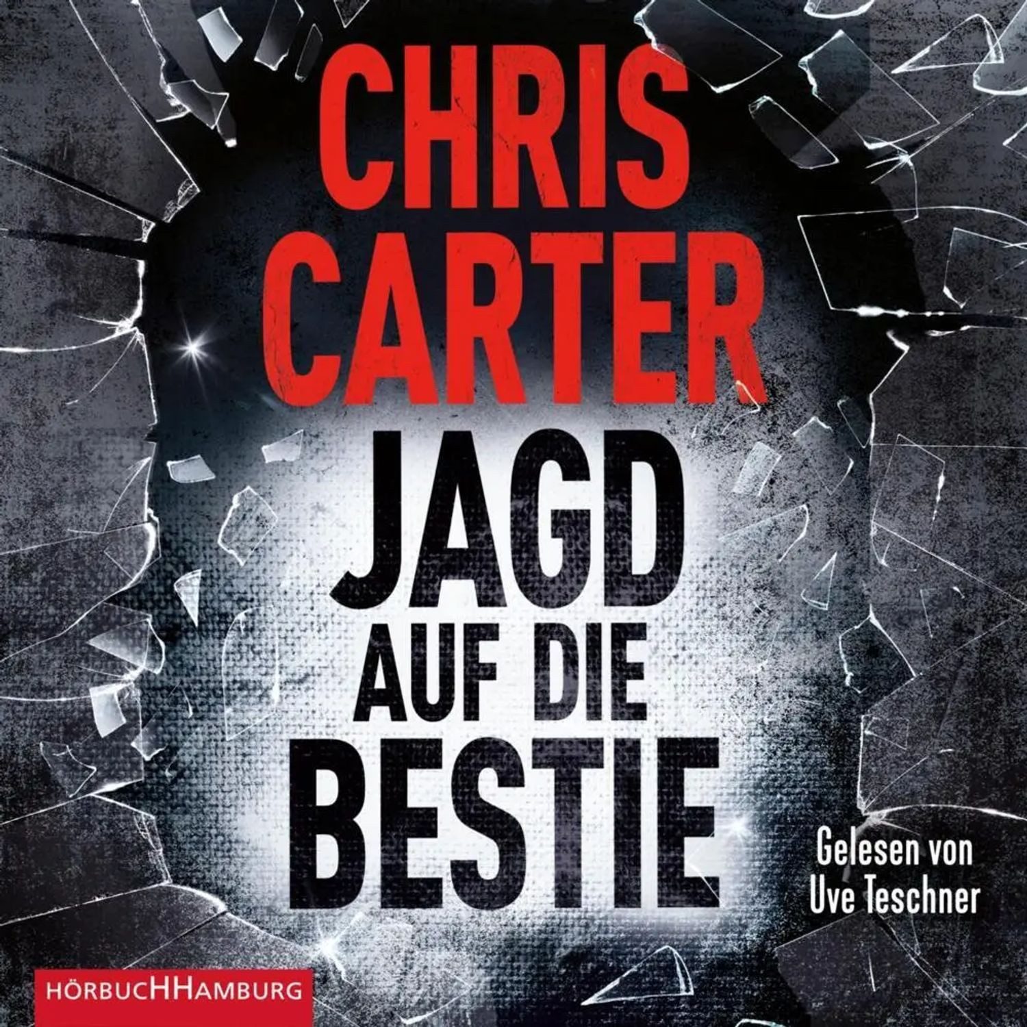 Hörbuch Hamburg Hörspiel Jagd auf die Bestie,2 Audio-CD, 2 MP3