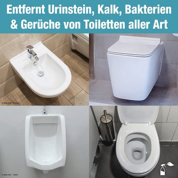 bio-chem Urin- und Kalkstein-Entferner SET 6x 1 l + Schrägdüse WC-Reiniger