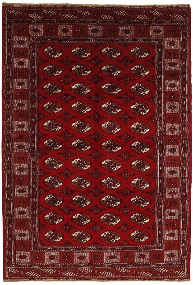 Orientteppich Turkaman 257x376 Handgeknüpfter Orientteppich / Perserteppich, Nain Trading, rechteckig, Höhe: 6 mm