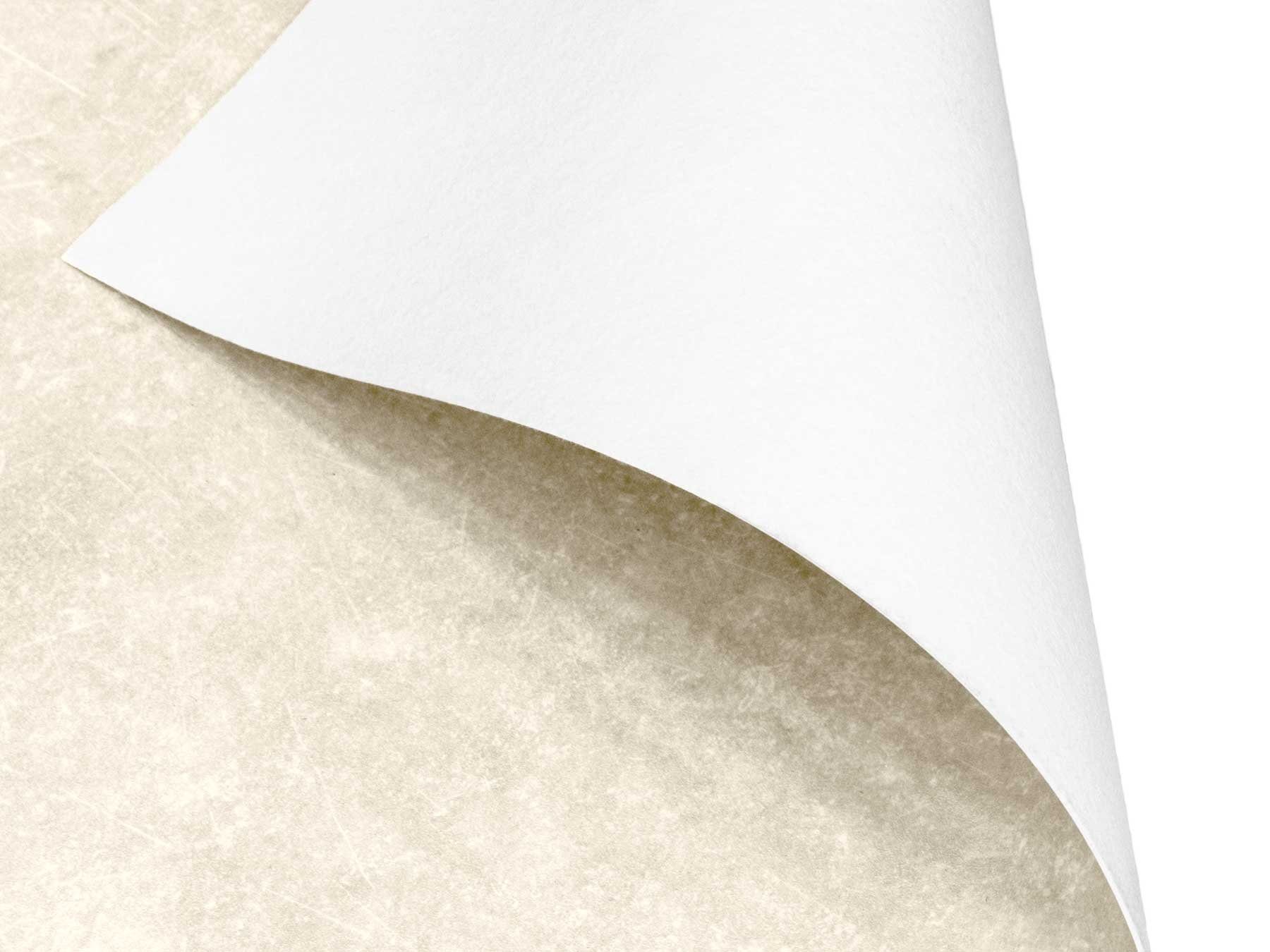 Primaflor-Ideen in Textil Vinylboden CV Bodenbelag TURVO - Stein Ibiza beigegrau, Starke Nutzschicht – Bild 4 von 5