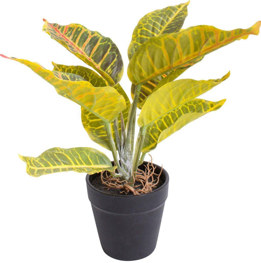 Künstliche Zimmerpflanze Croton, Botanic-Haus, Höhe 28 cm