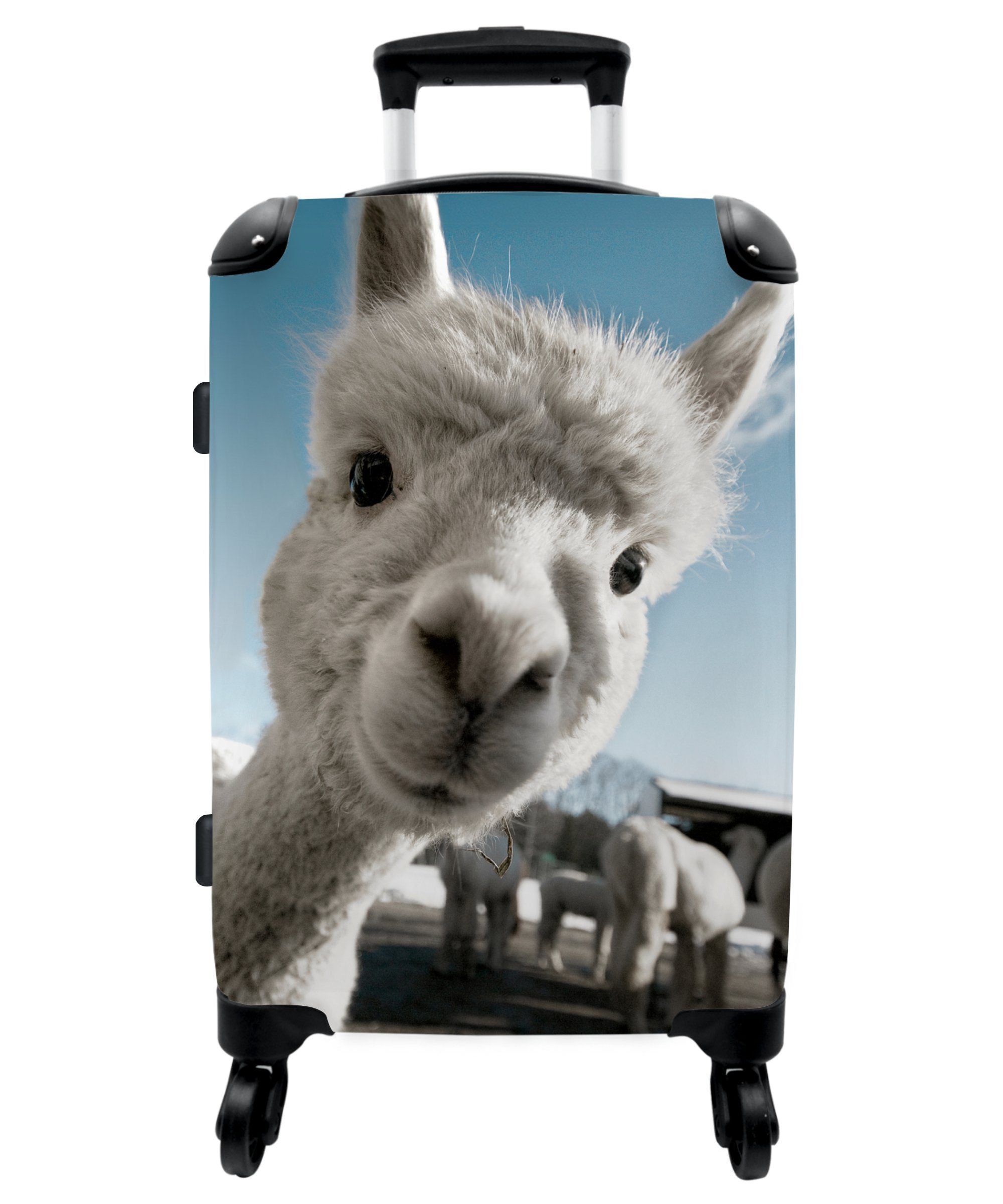 NoBoringSuitcases.com© Koffer 67x43x25cm Alpaka - Weiß - Tiere, 4 Rollen, Aufgabegepäck Trolley Rollkoffer Große Reisekoffer mit 4 Rollen -