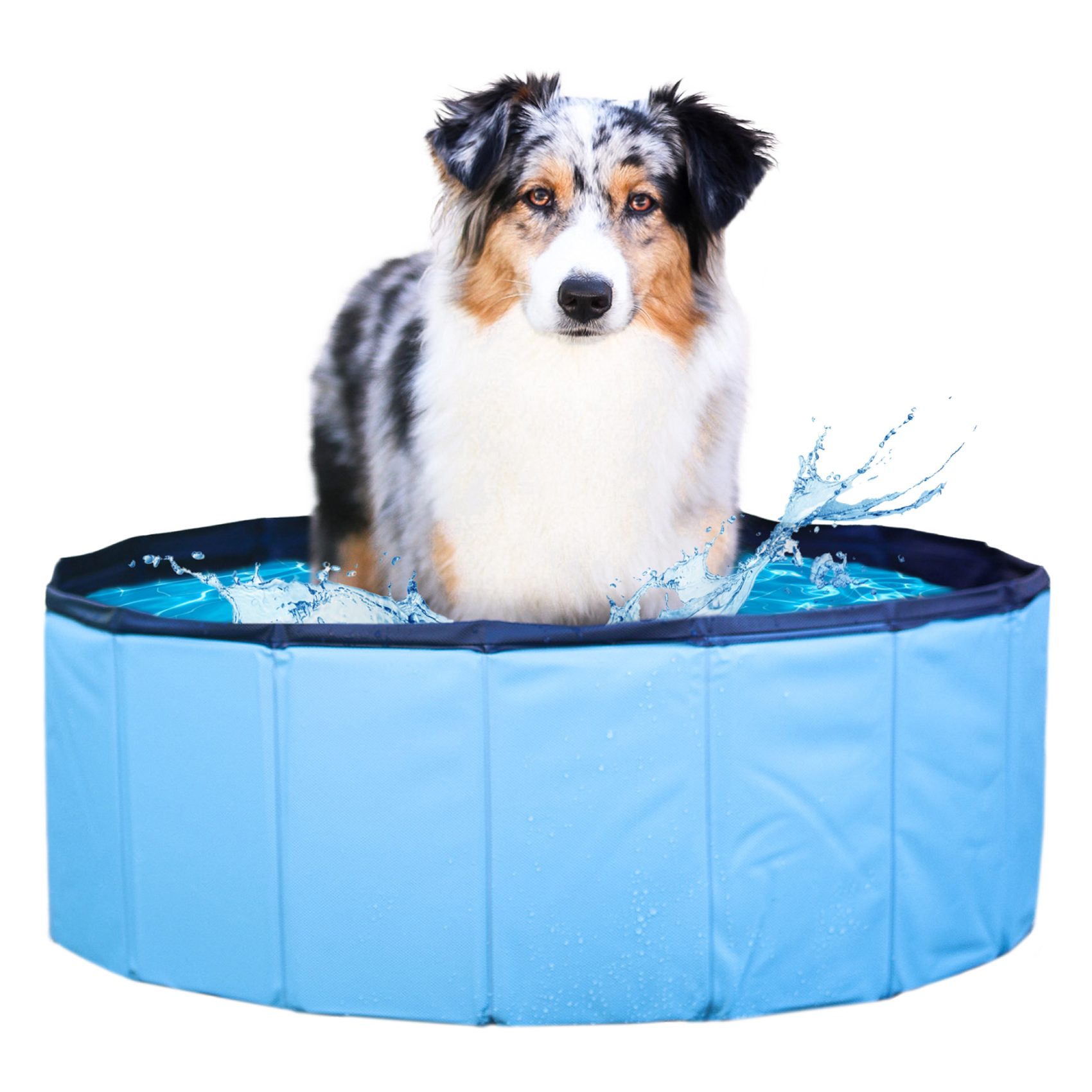 Wahre Tierliebe Hundepool