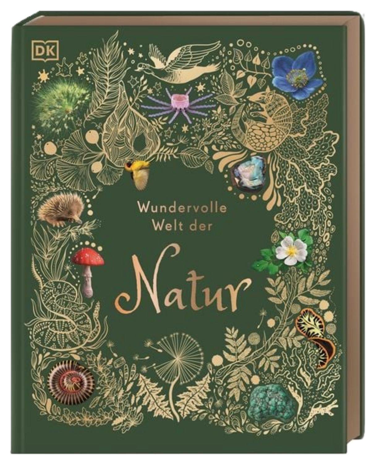 Wundervolle Welt der Natur / Ben Hoare