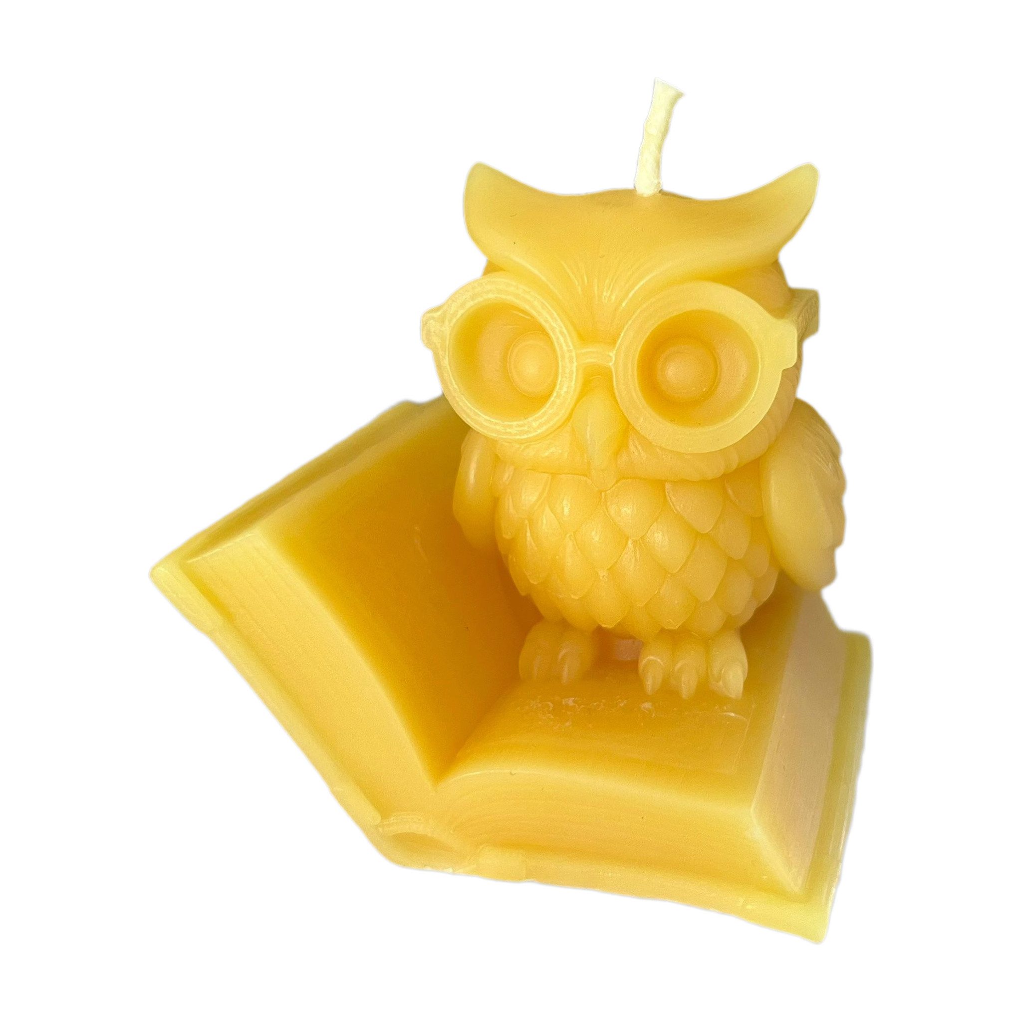 Aspinaworld Bienenwachskerze Eule Kerze mit Brille auf Buch 7 cm natur – Leseeule (1-tlg)
