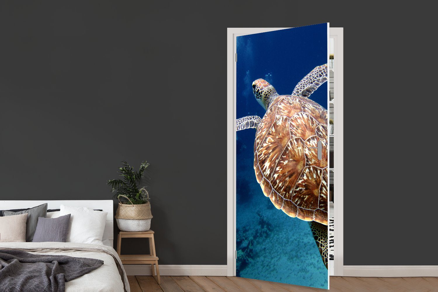 MuchoWow Türtapete Schildkröte Fototapete Matt, Türaufkleber, 75x205 cm für Tür, St), Fotodruck, (1 bedruckt