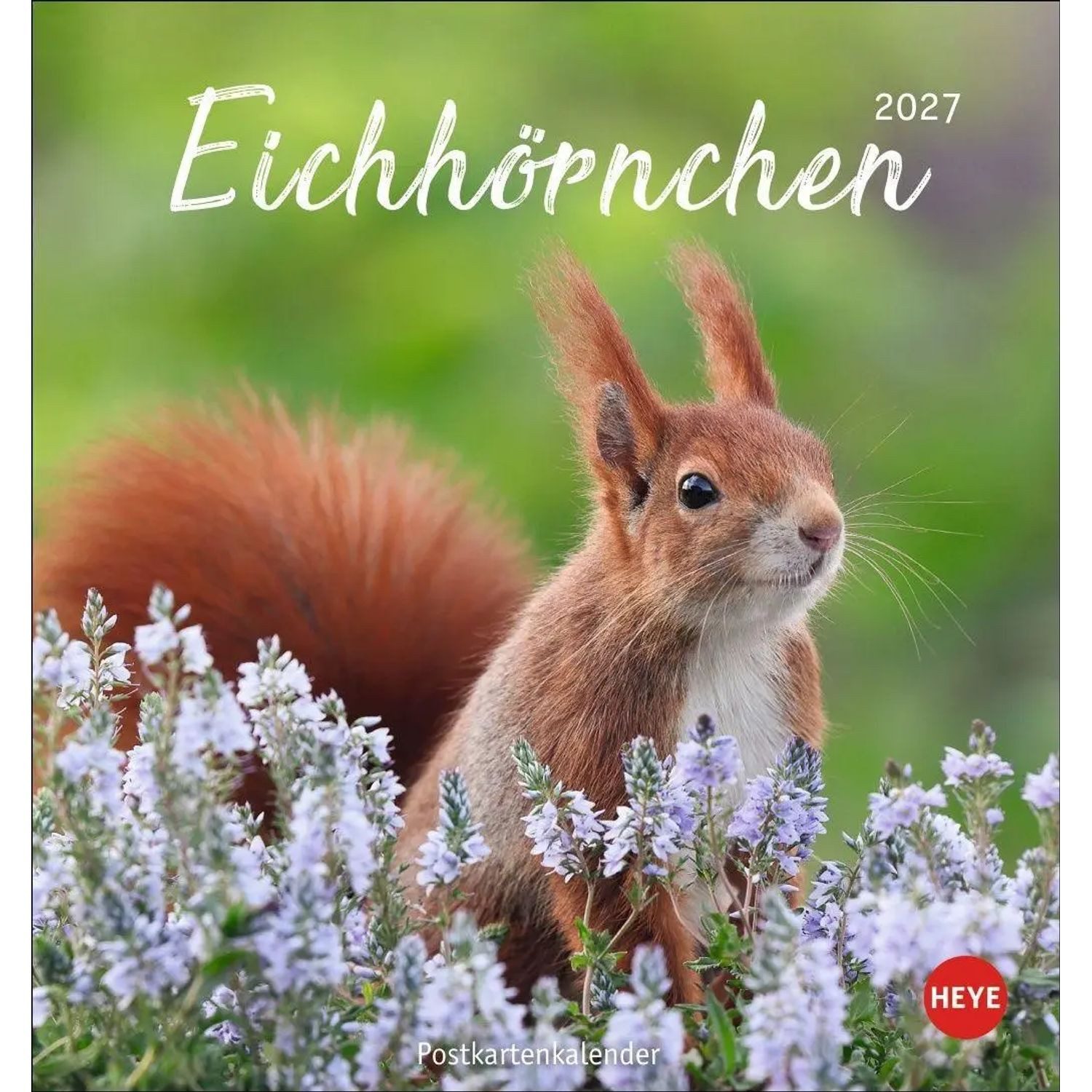 HEYE Wandkalender Eichhörnchen Postkartenkalender 2027