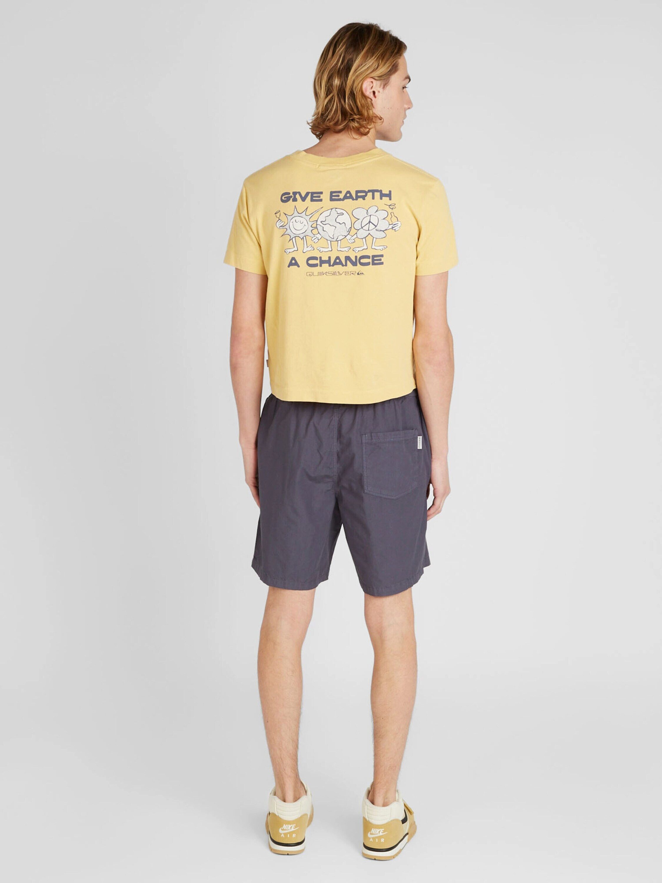 iriedaily Shorts City (1-tlg)
