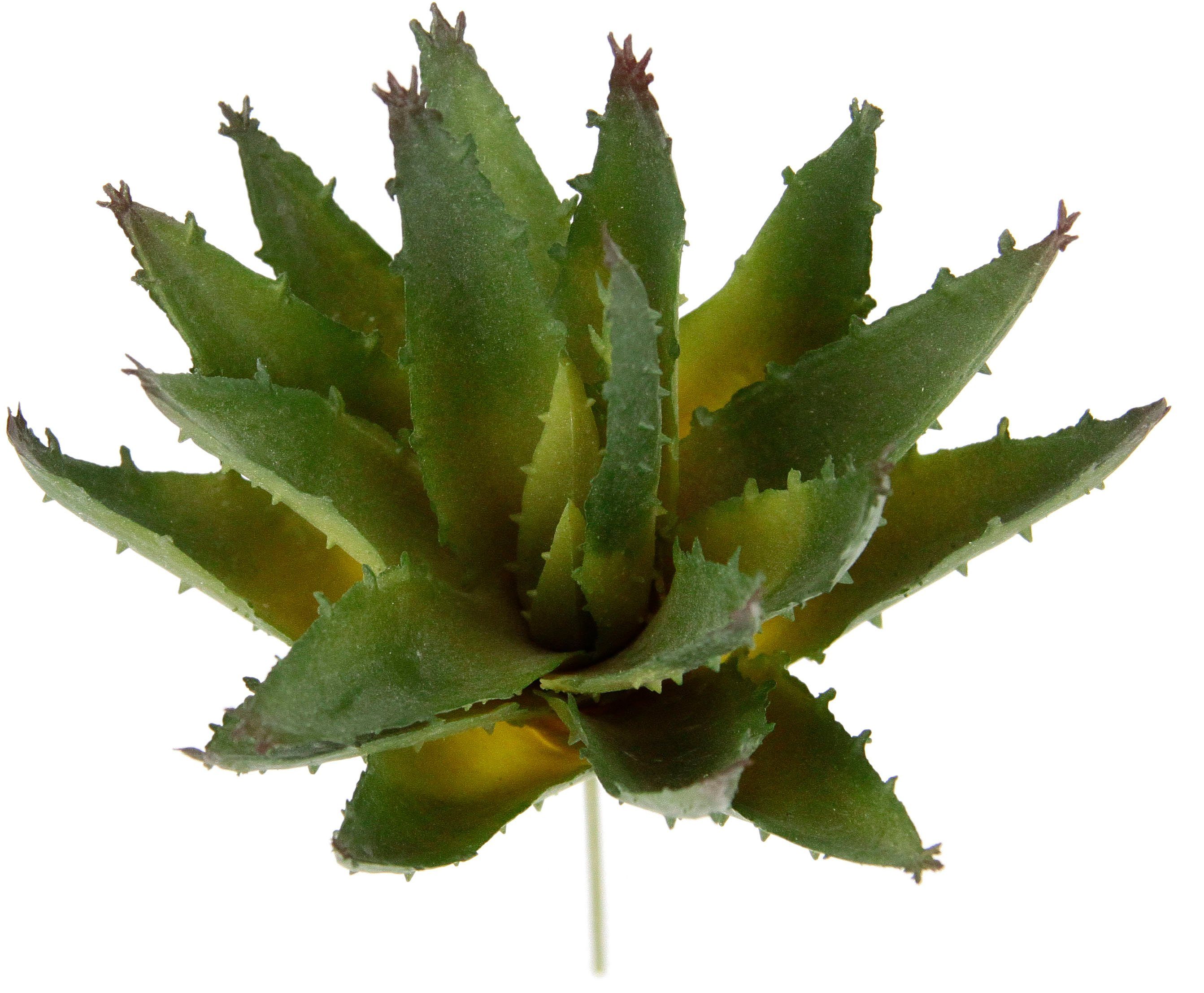 Kunstpflanze Dekorative Sukkulenten, cm, Höhe künstliche Pflanzen, Kaktus I.GE.A., Aloe, 4er Sukkulenten, Agave, 16 Set