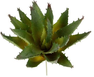 Kunstpflanze Dekorative Sukkulenten, I.GE.A., Höhe 16 cm, 4er Set, künstliche Pflanzen, Sukkulenten, Aloe, Agave, Kaktus