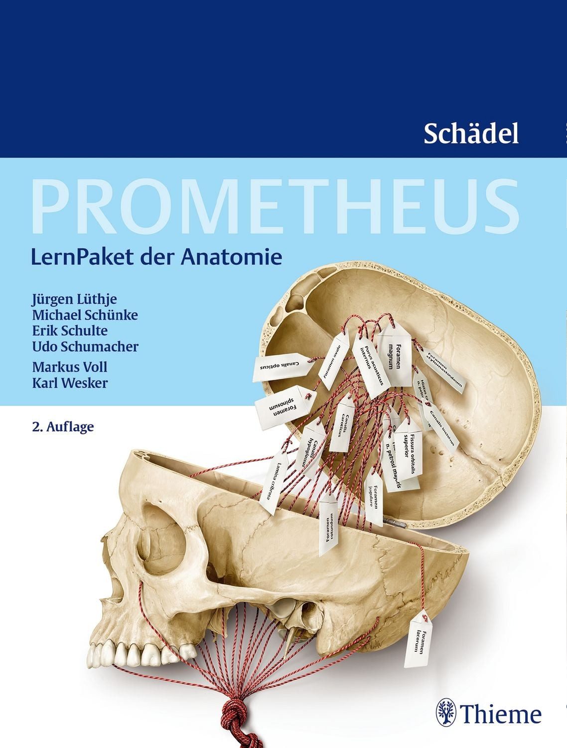 Fachbuch PROMETHEUS LernPaket Anatomie Schädel Enth.: 1 Lerntafel Terminologie, Jürgen Lüthje, Michael Schünke, Erik Schulte, Udo Schumacher