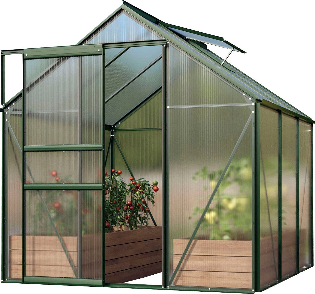 Vitavia Gewächshaus Venus 3800, BxTxH: 195 x 195 x 197 cm, 4 mm Wandstärke, Alu-Profile, 4 mm Hohlkammerplatten grün