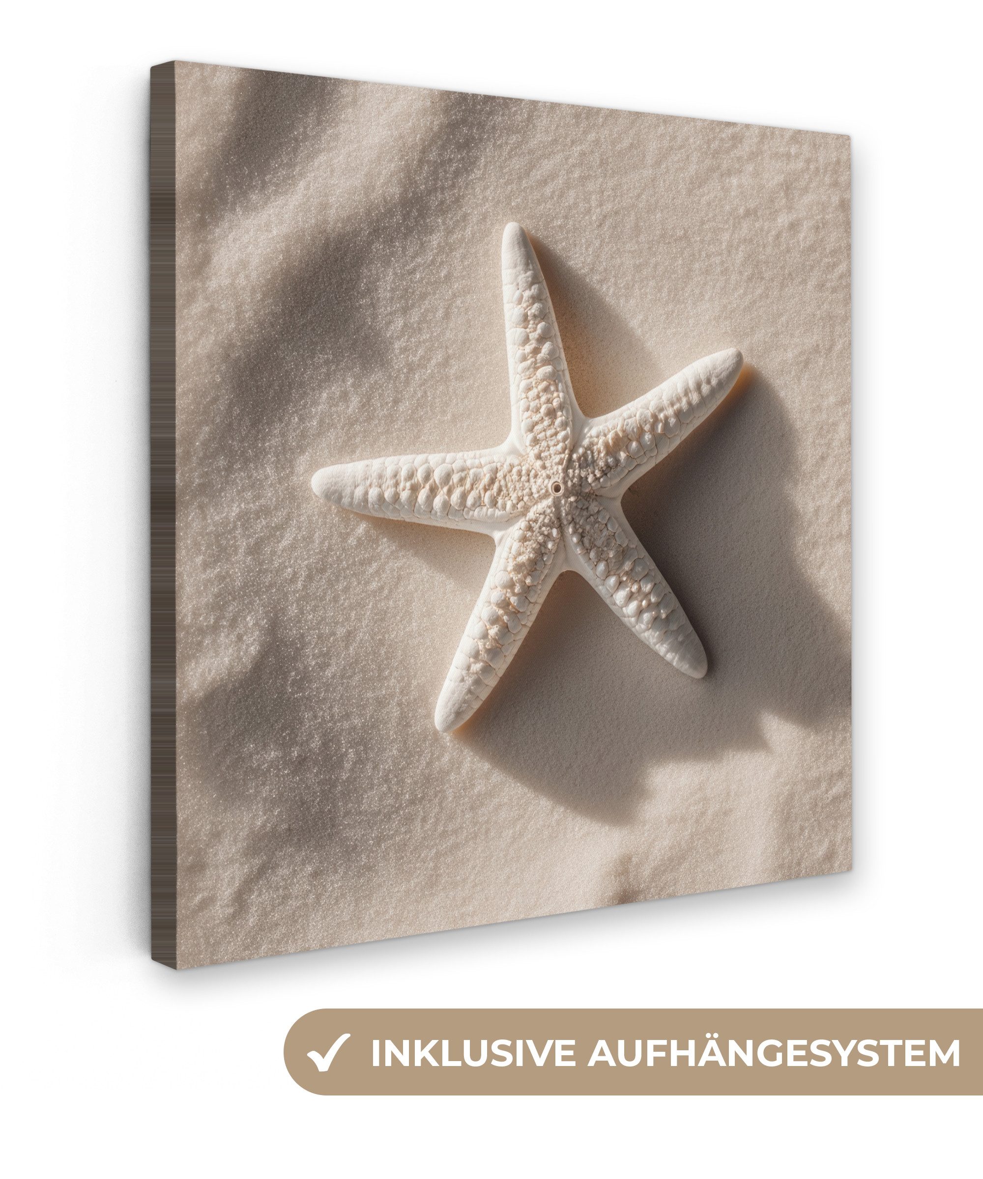 OneMillionCanvasses® Leinwandbild Strand - Seestern - günstig online kaufen