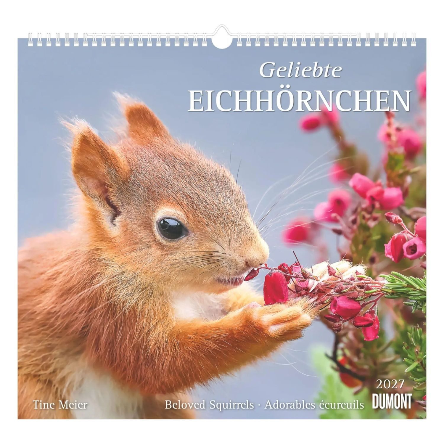 Wandkalender Geliebte Eichhörnchen 2027